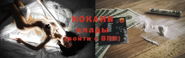 ПСИЛОЦИБИНОВЫЕ ГРИБЫ Лихославль