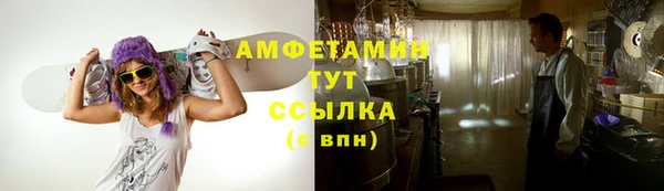 ПСИЛОЦИБИНОВЫЕ ГРИБЫ Лихославль